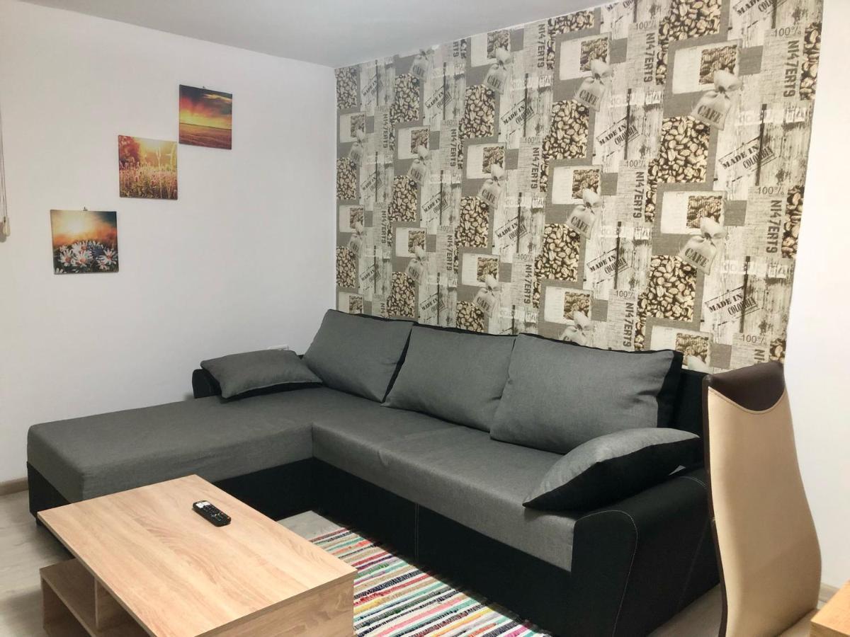 Central Park - Big Apartment - 3 Rooms - Free Parking T5 Тимишоара Экстерьер фото