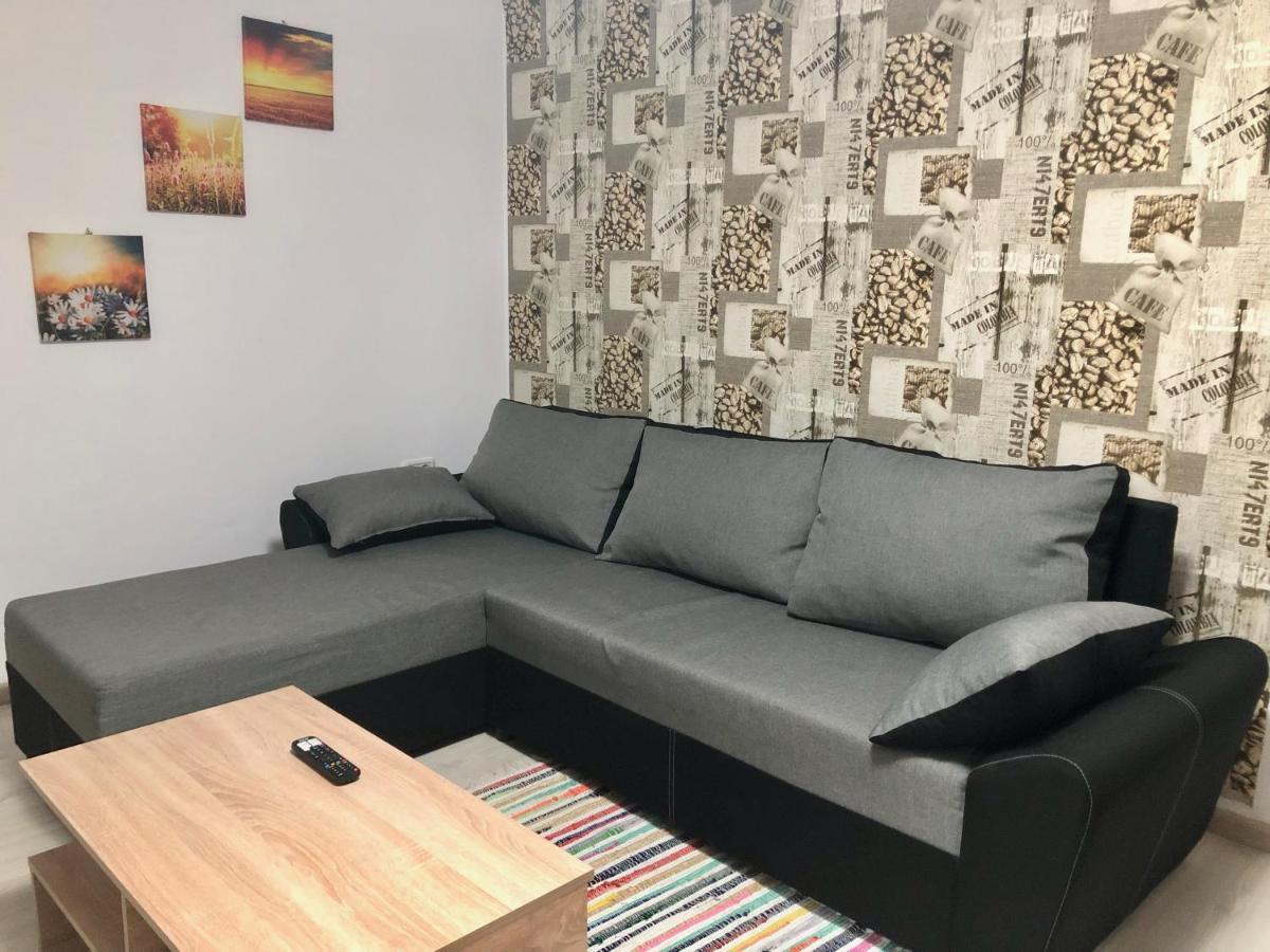 Central Park - Big Apartment - 3 Rooms - Free Parking T5 Тимишоара Экстерьер фото